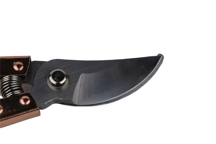 Pruners Shears